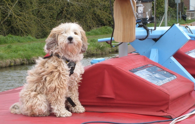Tilly cruising
